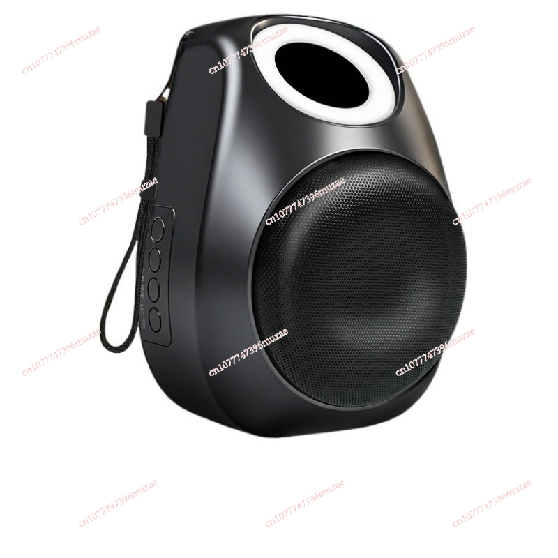 Wireless Bluetooth audio peak  - Quality Outdoor Power 评论和价格