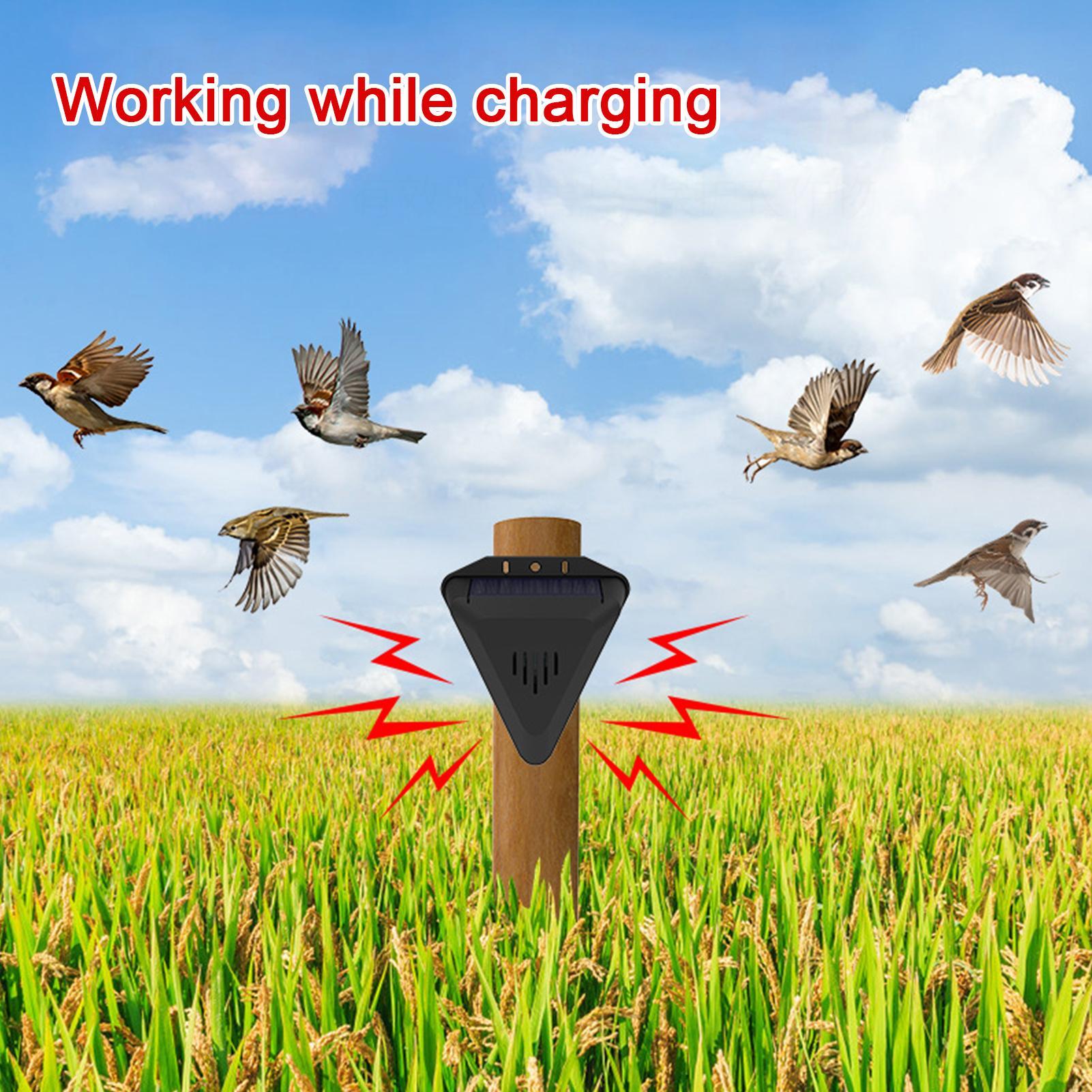 Solar Timer Bird Repeller With - Outdoor Power With Timer 评论和价格