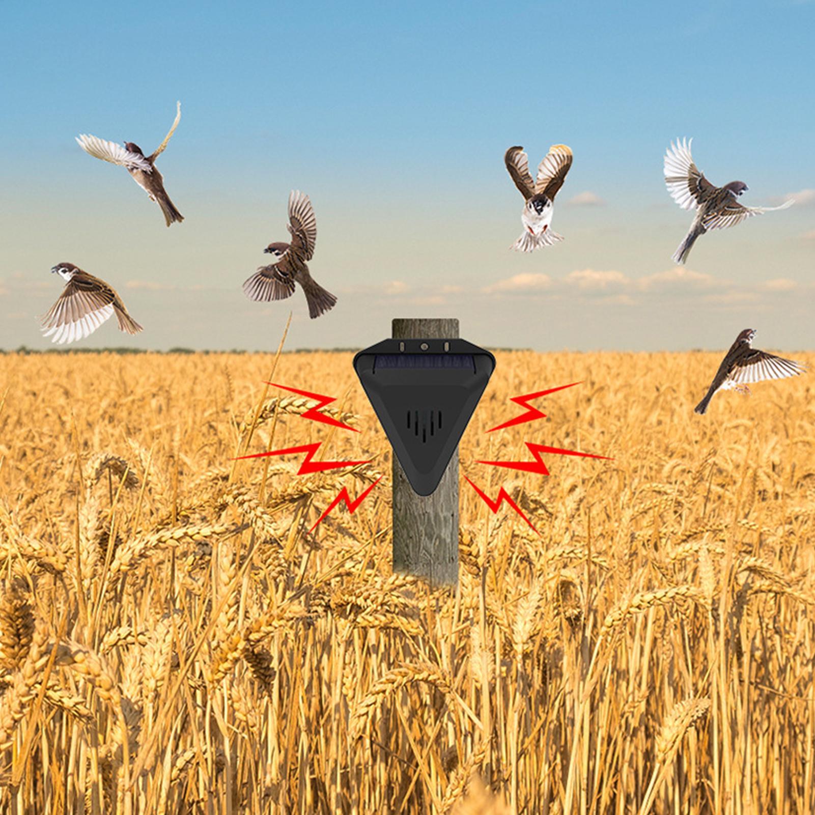 Solar Timer Bird Repeller With - Outdoor Power With Timer 评论和价格