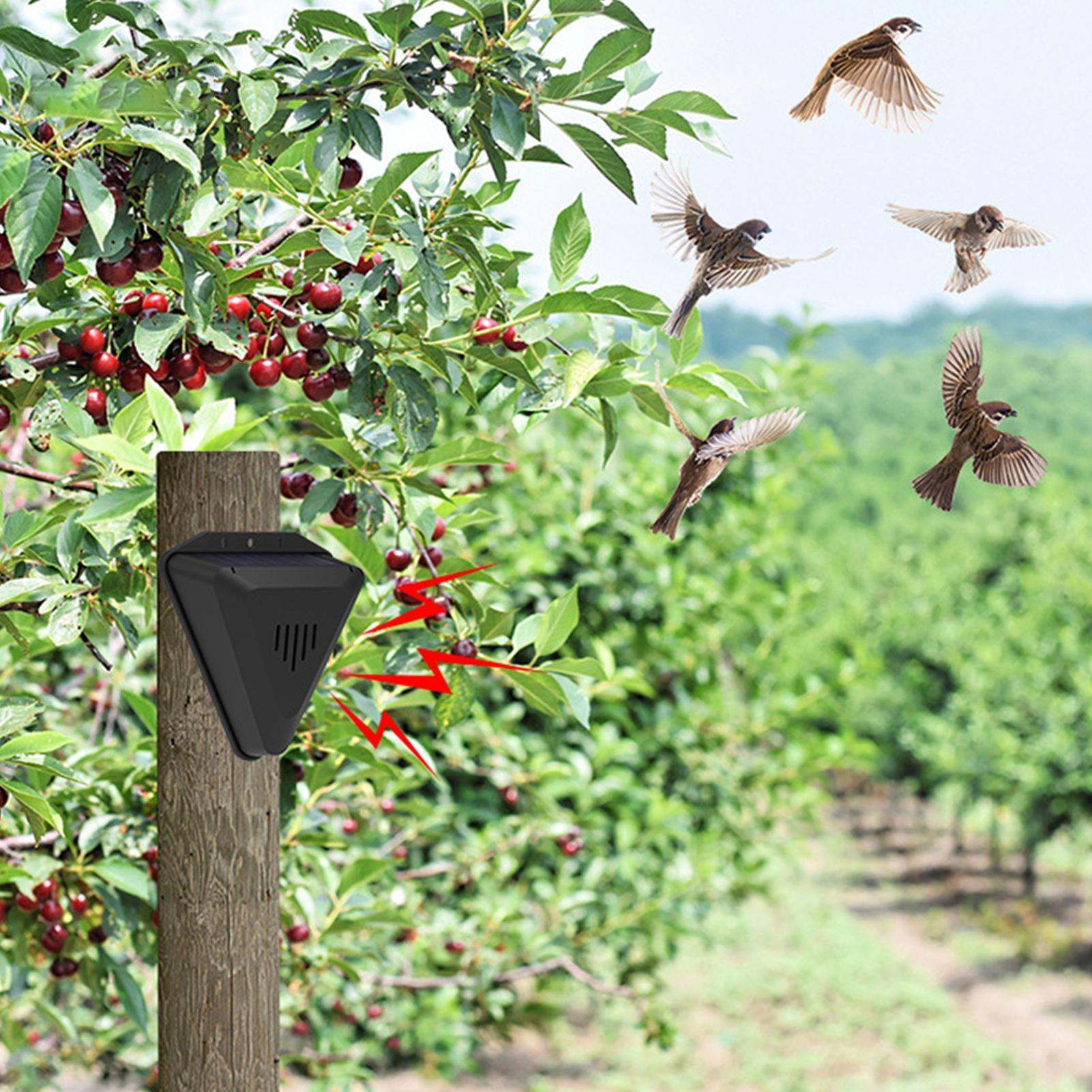 Solar Timer Bird Repeller With - Outdoor Power With Timer 评论和价格